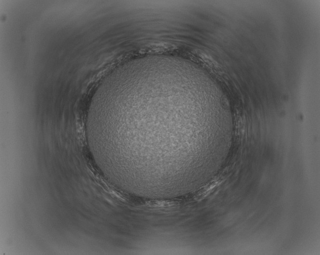X0000070351109200606231550