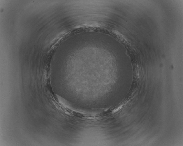 X0000070351110200606231550