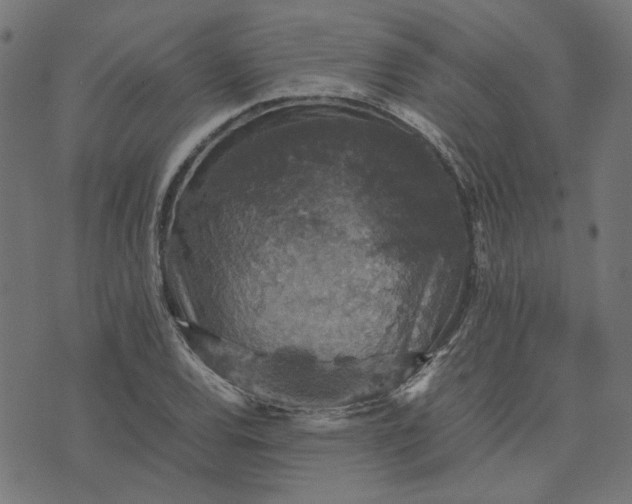 X0000070351120200606231550