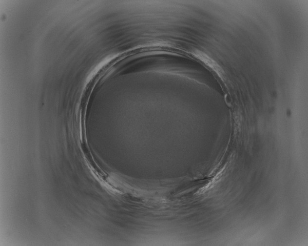 X0000070351127200606231550
