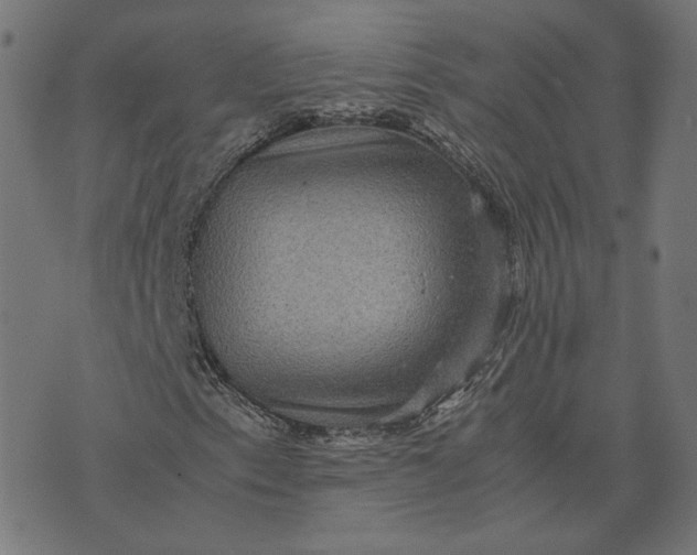 X0000070351153200606231550