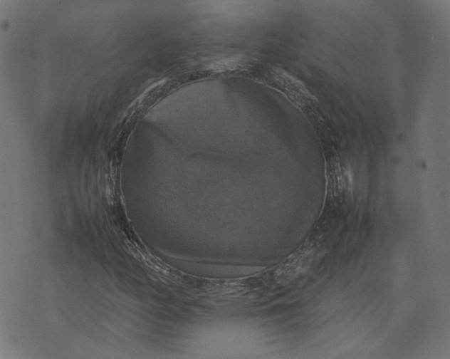 X0000070351158200606231550