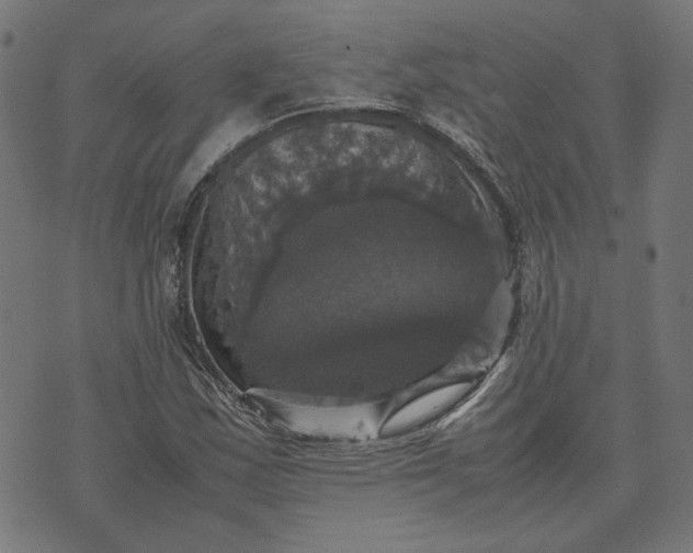 X0000070351163200606231550