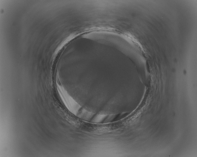 X0000070351173200606231550