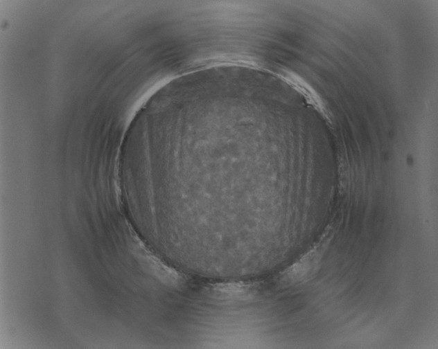 X0000070351182200606231550