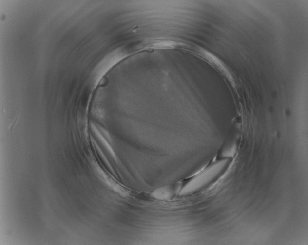 X0000070351194200606231549