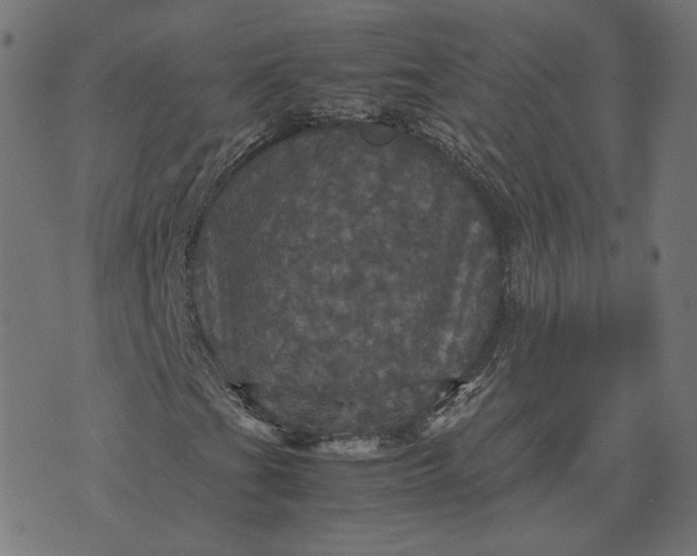 X0000070351201200606231548