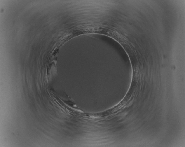 X0000070351202200606231548