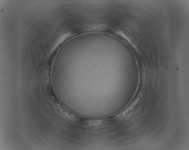 X0000070351211200606231549
