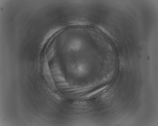 X0000070351215200606231549