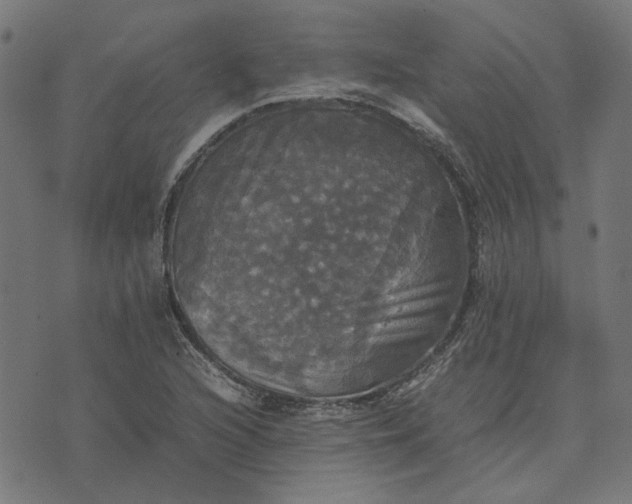 X0000070351216200606231549