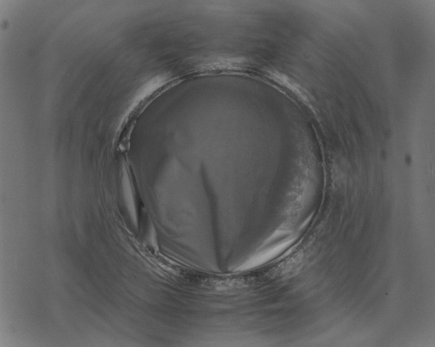 X0000070351219200606231549