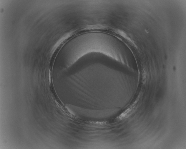 X0000070351221200606231549