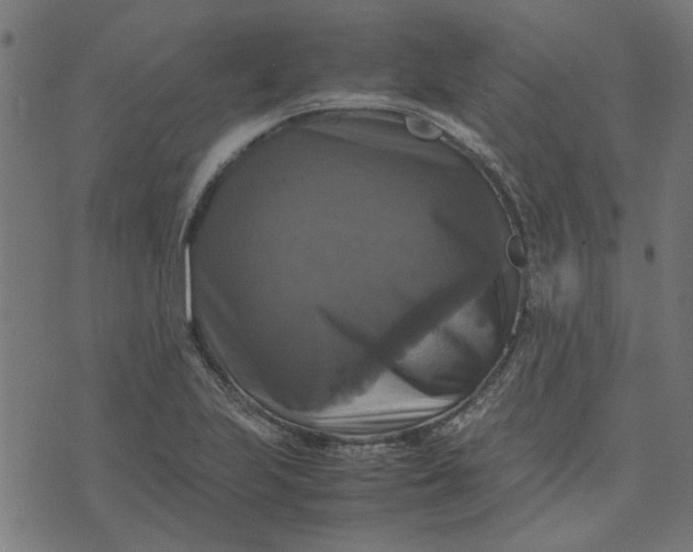 X0000070351223200606231549