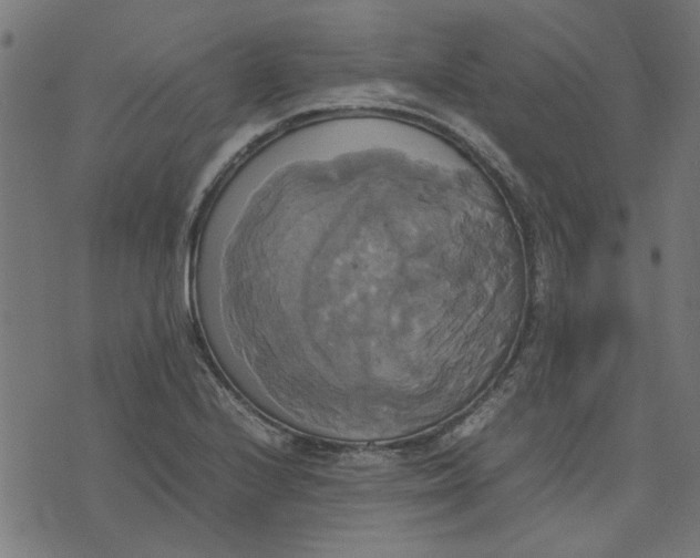 X0000070351224200606231549