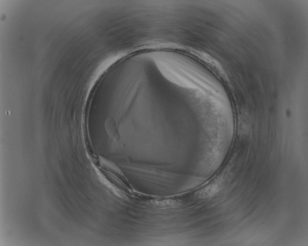 X0000070351231200606231549