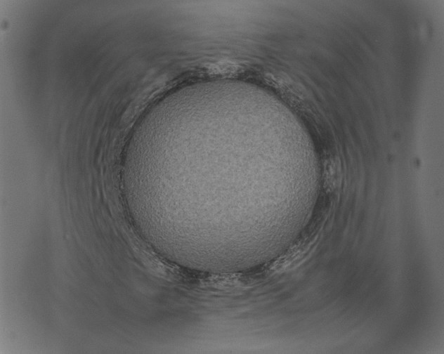 X0000070351249200606231548