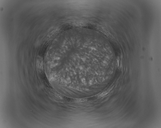 X0000070351251200606231548