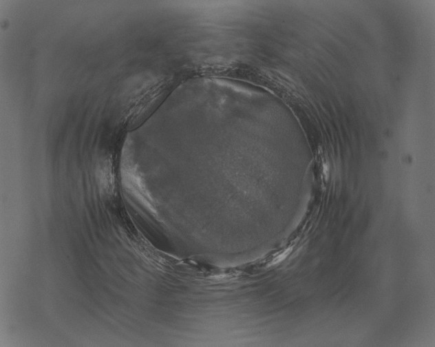 X0000070351252200606231548