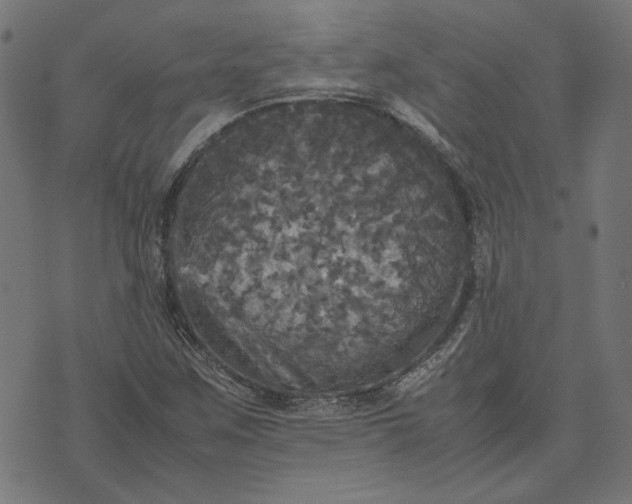 X0000070351259200606231548
