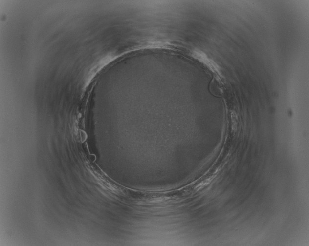 X0000070351260200606231548