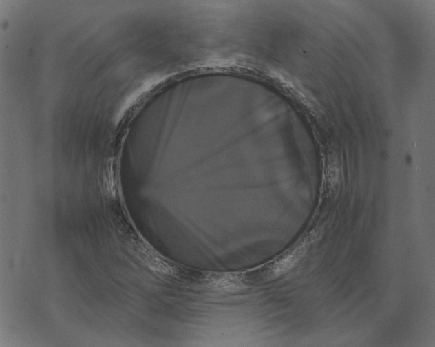 X0000070351262200606231548