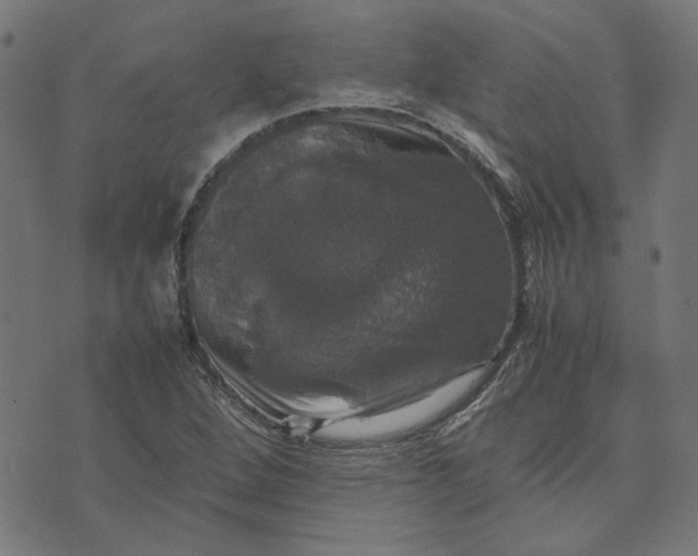 X0000070351264200606231548