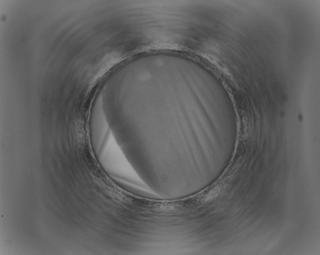 X0000070351266200606231548