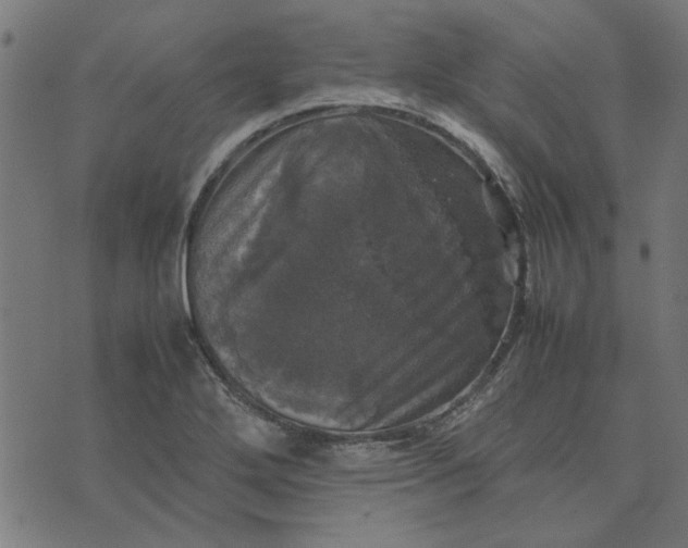 X0000070351272200606231548