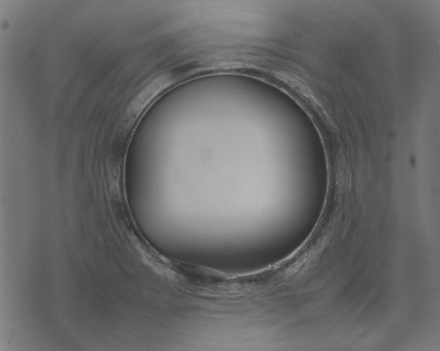 X0000070351273200606231548
