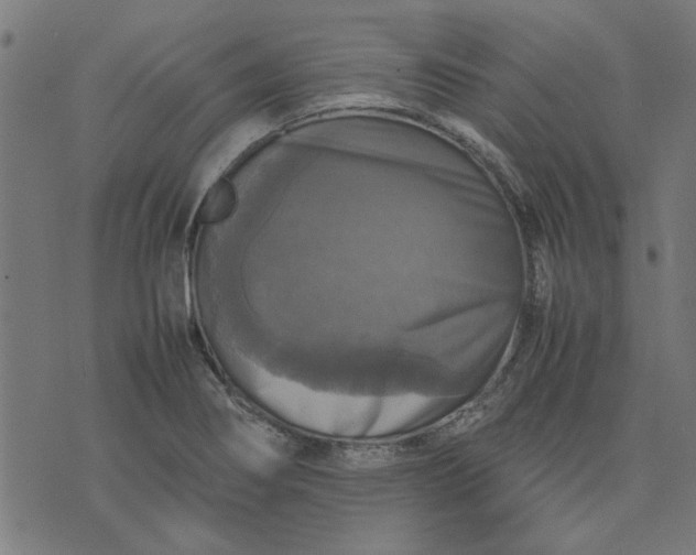 X0000070351274200606231548