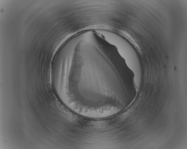 X0000070351276200606231548