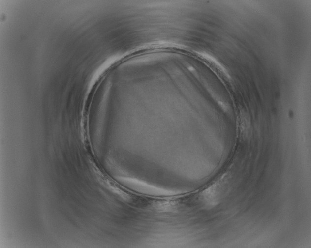 X0000070351278200606231548