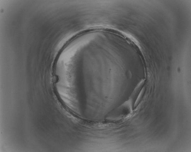 X0000070351279200606231548
