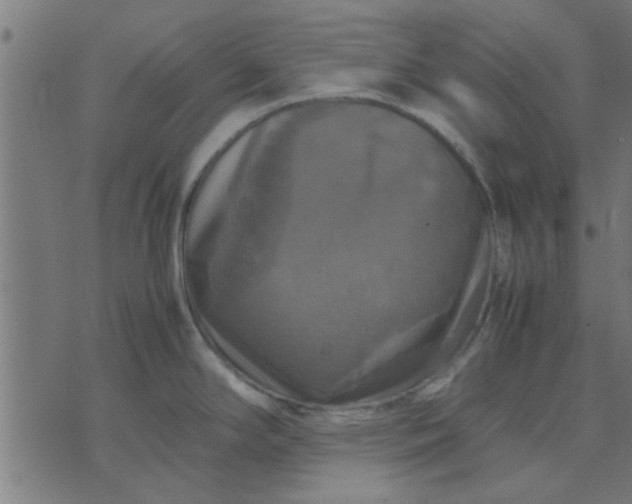 X0000070351294200606231548