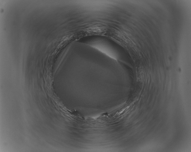 X0000070351297200606231547