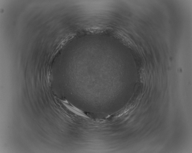X0000070351298200606231547