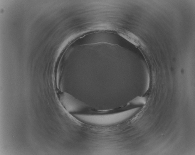 X0000070351334200606231547