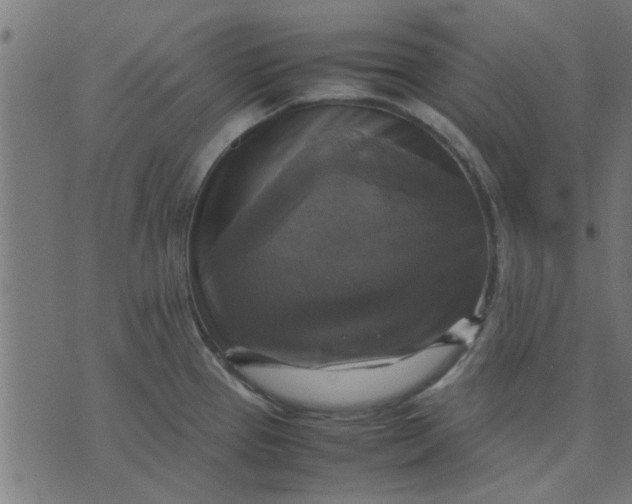 X0000070351337200606231548