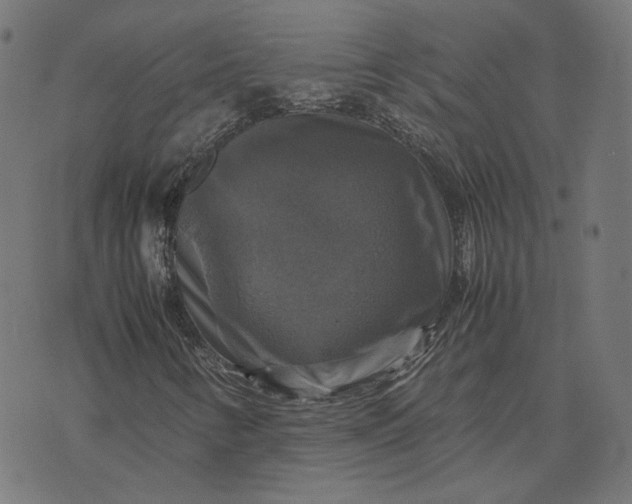 X0000070351346200606231547