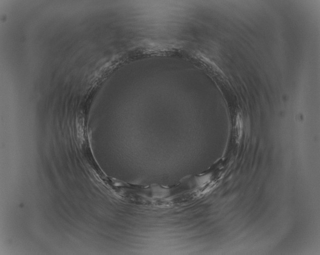 X0000070351348200606231547