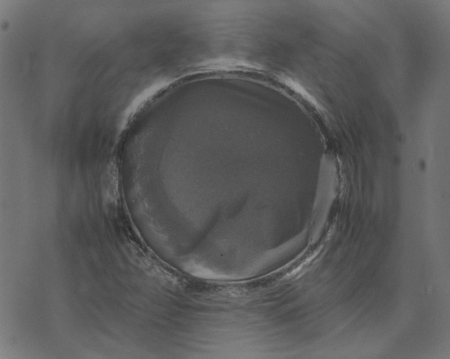 X0000070351358200606231547