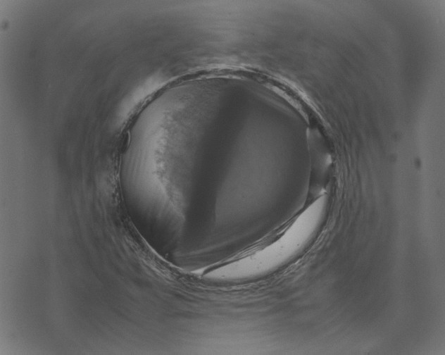 X0000070351359200606231547