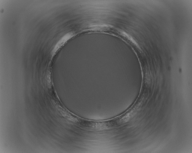 X0000070351362200606231547