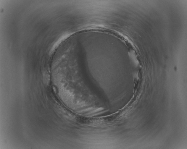 X0000070351363200606231547