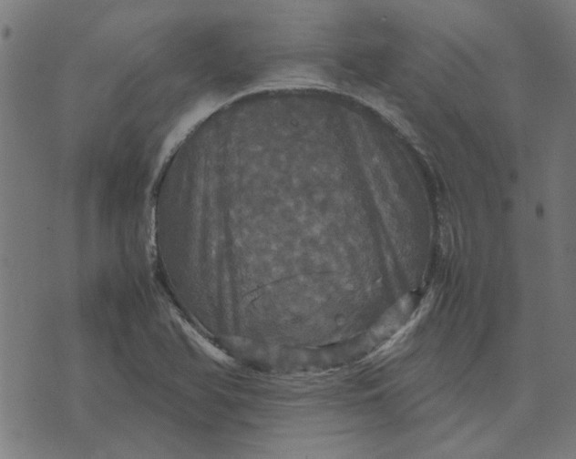 X0000070351366200606231547