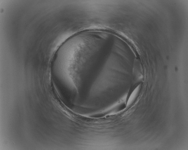 X0000070351367200606231547
