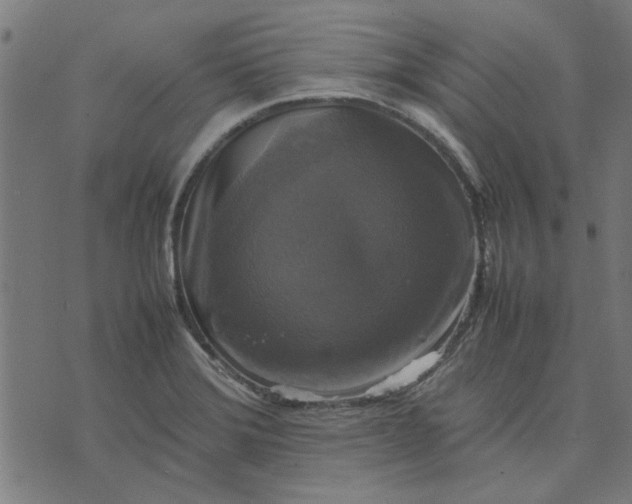 X0000070351372200606231546