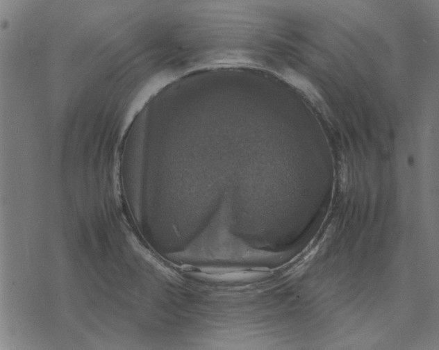 X0000070351374200606231546