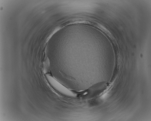 X0000070351377200606231546